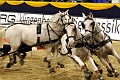 GC Vierspaenner 024